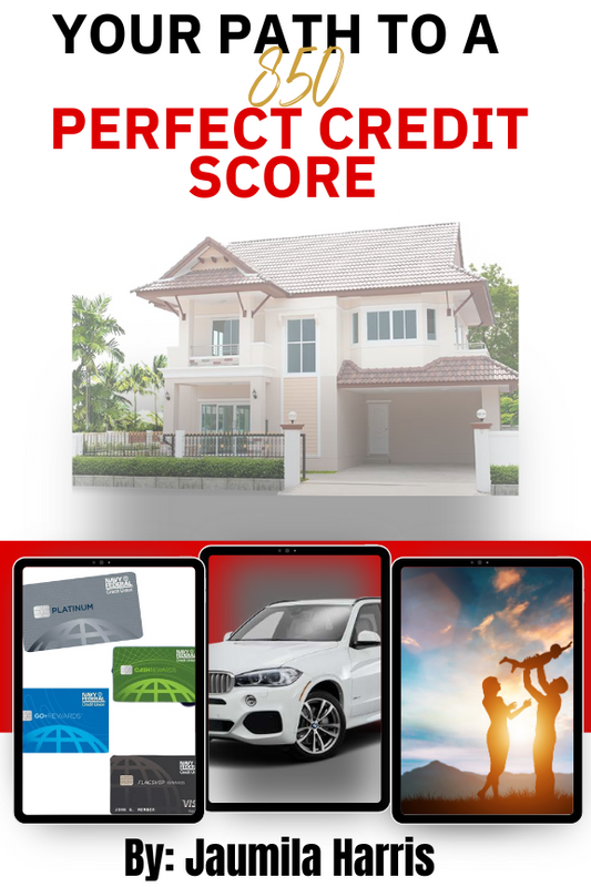 "YOUR PATH TO A 850 PERFECT CREDIT" E-BOOK